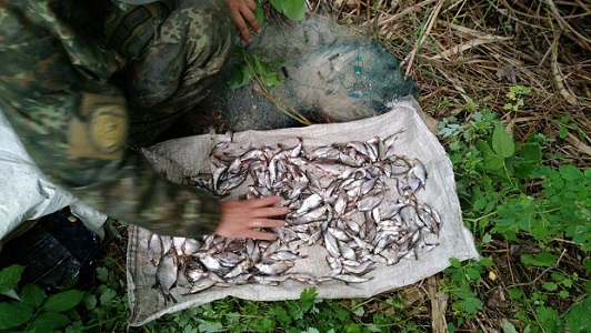 На Оскольском водохранилище задержан мужчина, который нанес более 14 тысяч гривен ущерба рыбному хозяйству.